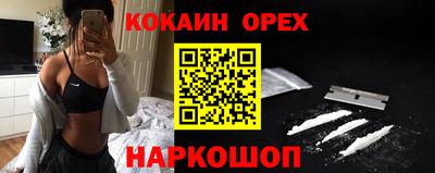 крисы Моздок