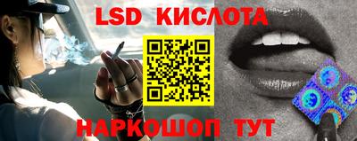 ПСИЛОЦИБИНОВЫЕ ГРИБЫ Можга