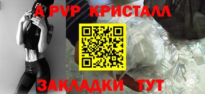 крисы Моздок