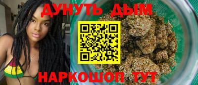 крисы Моздок