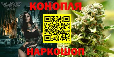 крисы Моздок