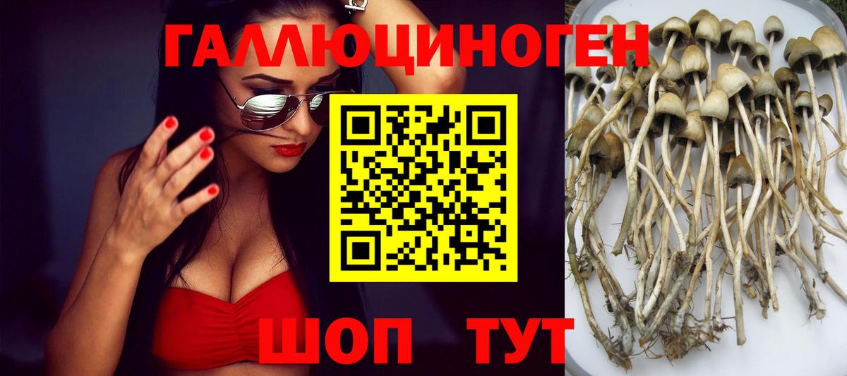 Галлюциногенные грибы MAGIC MUSHROOMS Джанкой