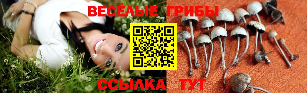 Галлюциногенные грибы мицелий  Вход с VPN  Джанкой 